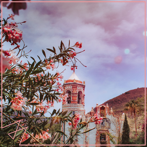 swag下载安装免费
