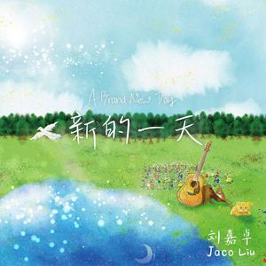 swag下载安装免费
