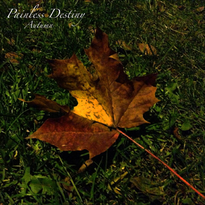 swag下载安装免费
